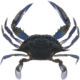 Icône de CrabEmu
